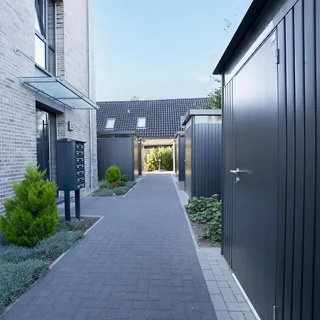 Duene Und Wasserlilie *